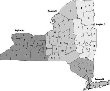 NY State map by counties