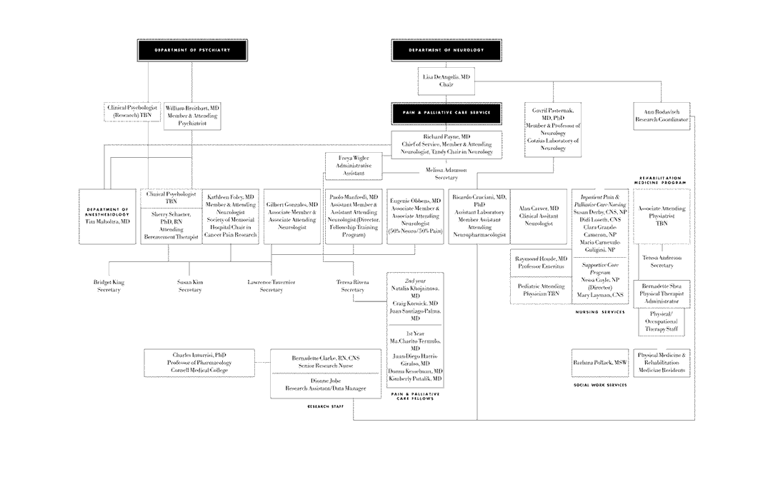 Memorial Sloan Kettering Organizational Chart