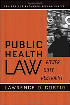 public lawyer