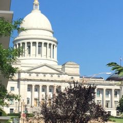 Regional Partners in Innovation: My Site Visit to the South Central United States