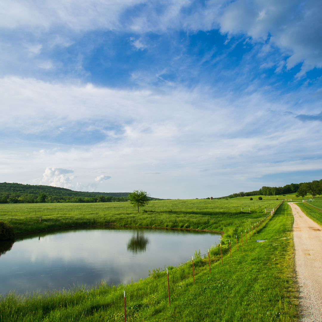 Rural Landscape