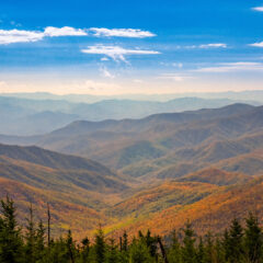 The Future of North Carolina’s Healthy Opportunities Pilots and What it Means for Other Medicaid Programs Considering Social Needs Programs 