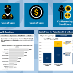 A Five-State All-Payer Claims Database Collaboration: Onpoint Health Data’s Multi-State Behavioral Health Initiative 