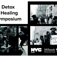 Addressing the Opioid Epidemic in the Bronx Through New Forms of Accountability